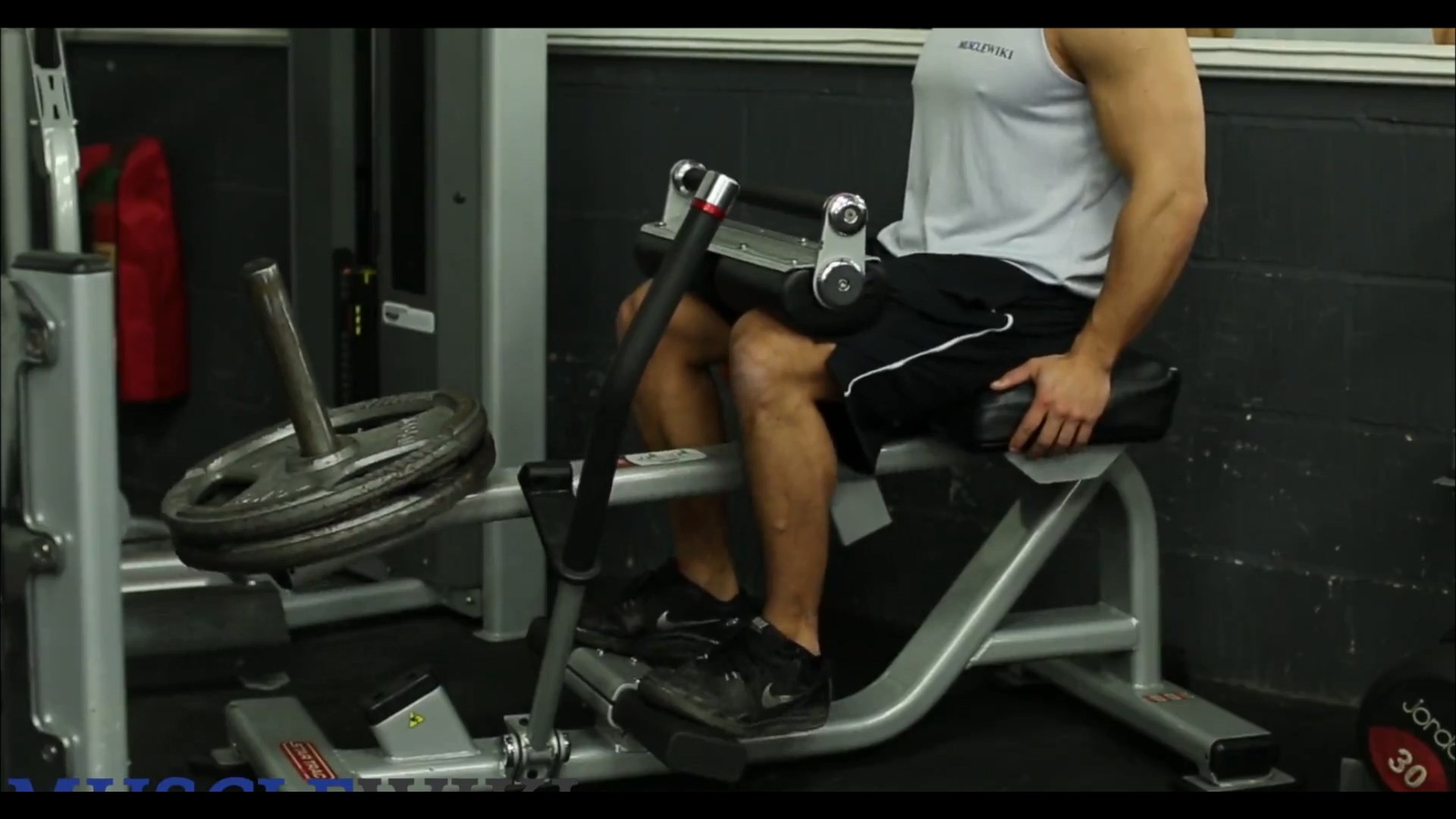Machine Seated Calf Raises/ساق پشت پا نشسته دستگاه