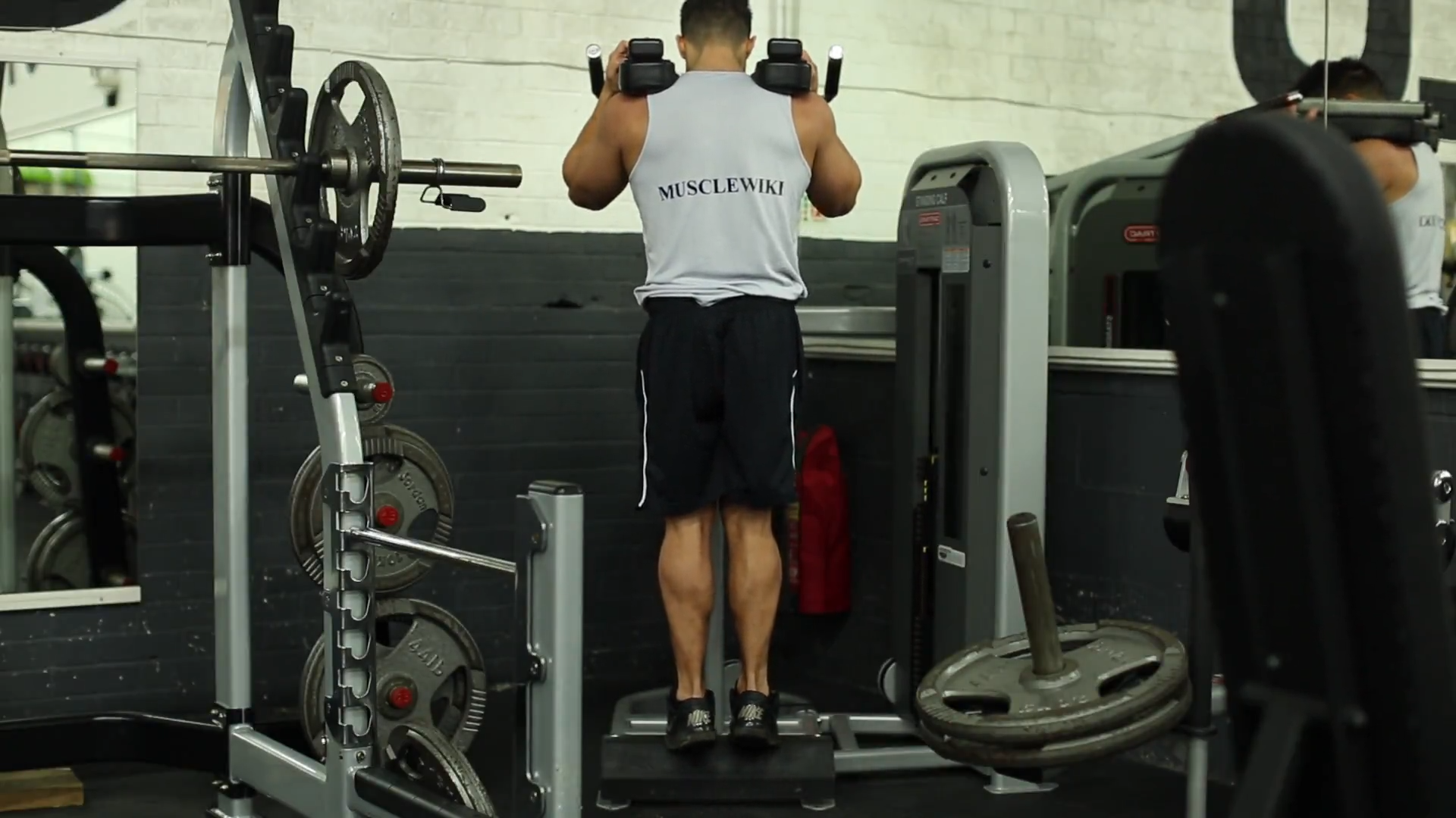 Machine Standing Calf Raises/ساق پشت پا ایستاده با دستگاه